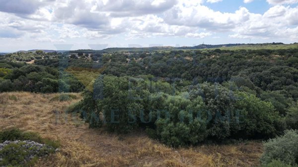 appartamento in vendita a Noto