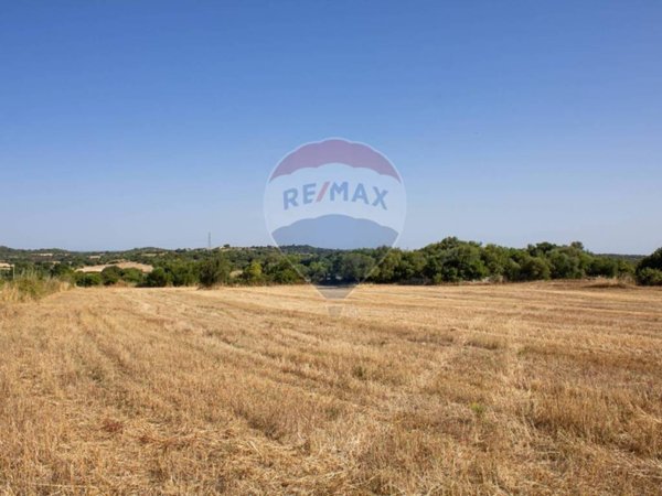 terreno agricolo in vendita a Noto in zona Testa dell'Acqua