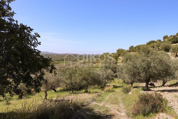 locale di sgombero in vendita a Noto