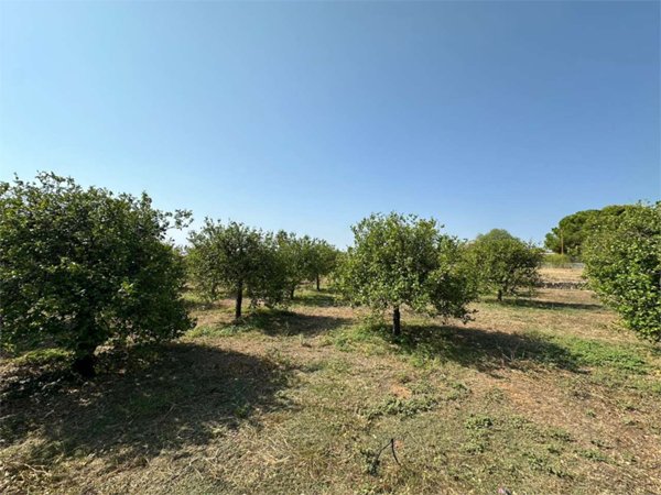terreno edificabile in vendita a Noto in zona Falconara
