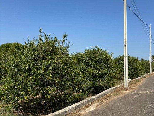 terreno agricolo in vendita a Noto in zona Lido di Noto