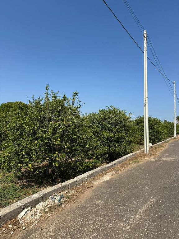 terreno agricolo in vendita a Noto in zona Falconara