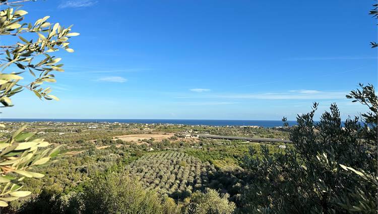 terreno agricolo in vendita a Noto
