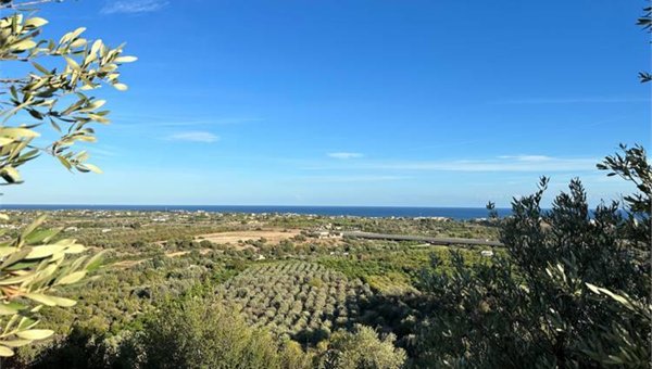 terreno agricolo in vendita a Noto