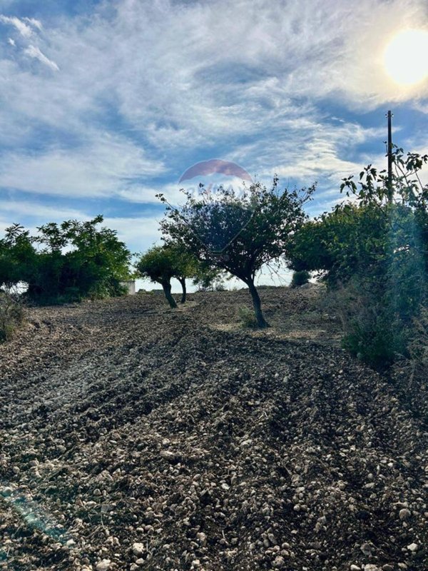casa indipendente in vendita a Noto