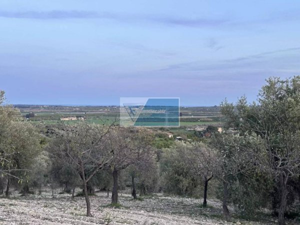 terreno agricolo in vendita a Noto in zona Vendicari