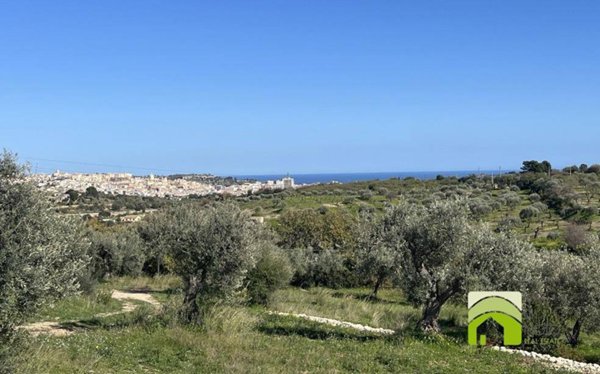 terreno agricolo in vendita a Noto