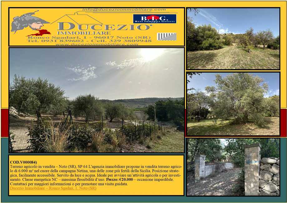 terreno agricolo in vendita a Noto