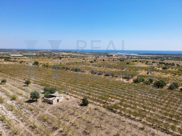 casa indipendente in vendita a Noto in zona Vendicari
