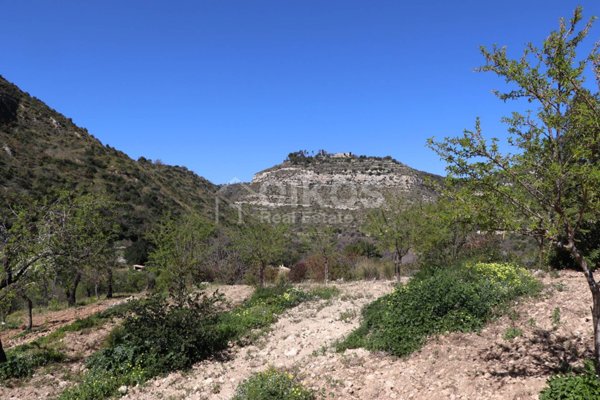 terreno agricolo in vendita a Noto in zona Lido di Noto