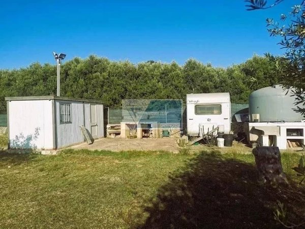 terreno agricolo in vendita a Noto