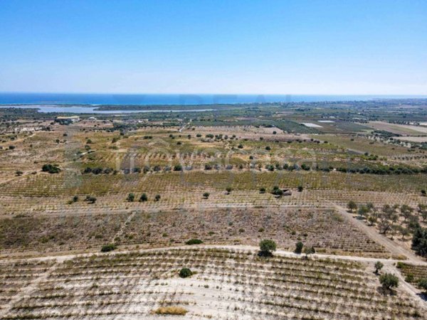 terreno agricolo in vendita a Noto in zona Vendicari