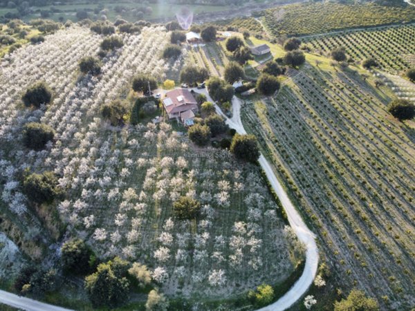 casa indipendente in vendita a Noto