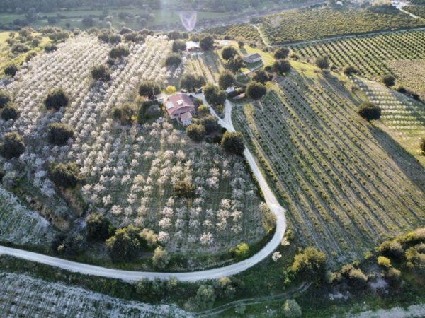 casa indipendente in vendita a Noto