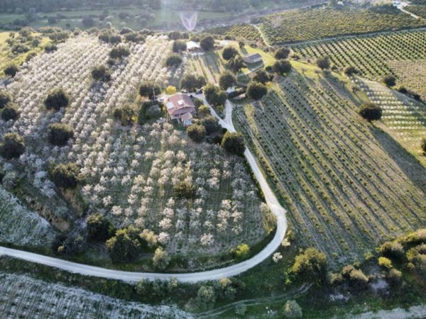 casa indipendente in vendita a Noto