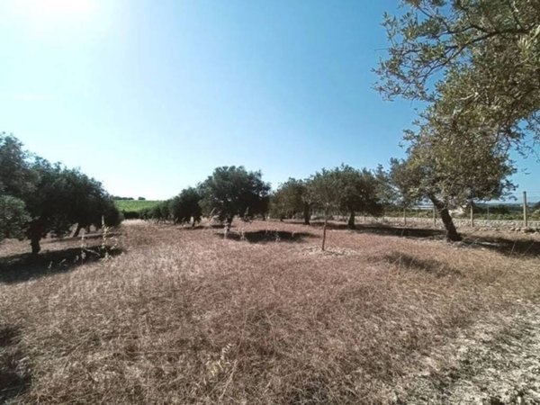 terreno agricolo in vendita a Noto in zona Vendicari