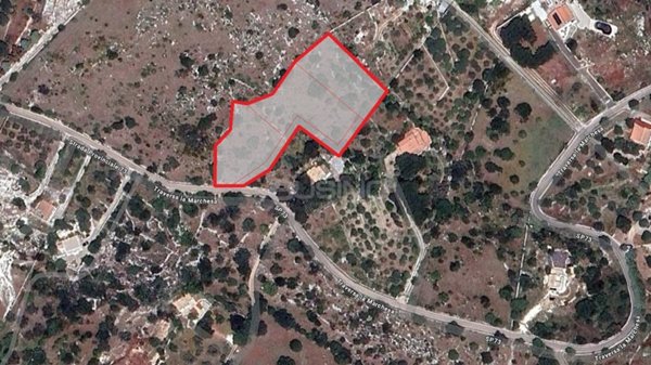 terreno agricolo in vendita a Noto