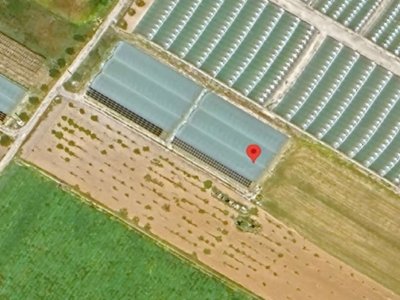 terreno agricolo in vendita a Noto