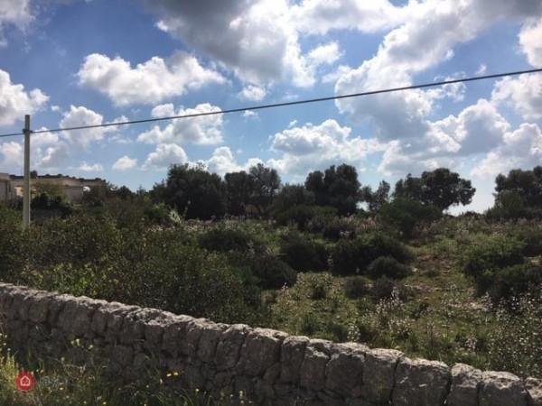 terreno agricolo in vendita a Noto