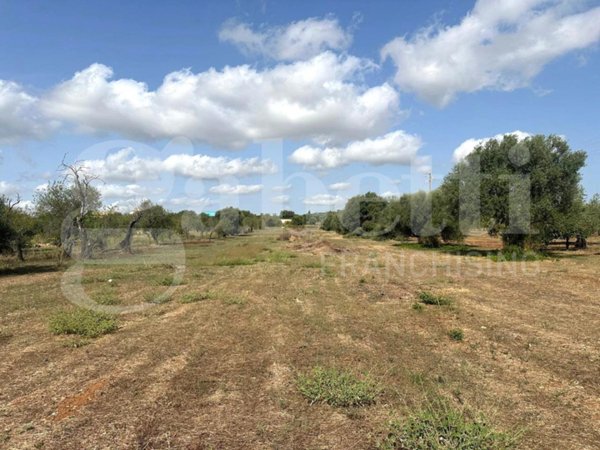 terreno agricolo in vendita a Noto in zona Falconara