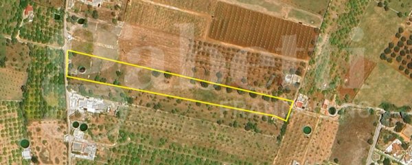 terreno agricolo in vendita a Noto in zona Falconara