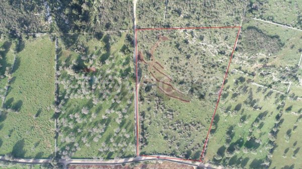 terreno edificabile in vendita a Noto