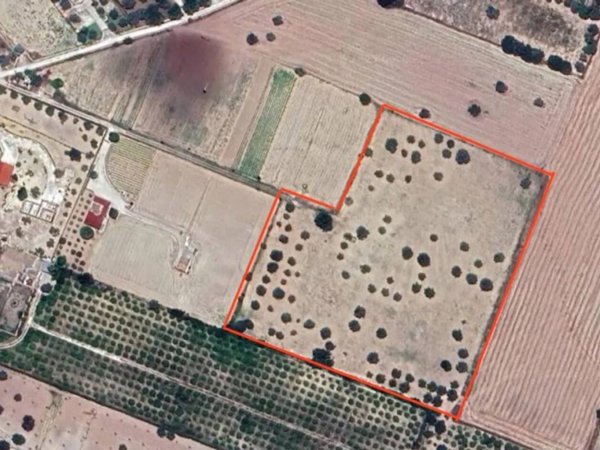 terreno agricolo in vendita a Noto