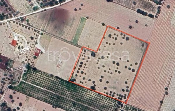 terreno agricolo in vendita a Noto