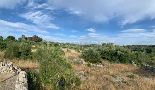 terreno agricolo in vendita a Noto