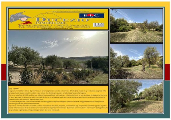 terreno agricolo in vendita a Noto