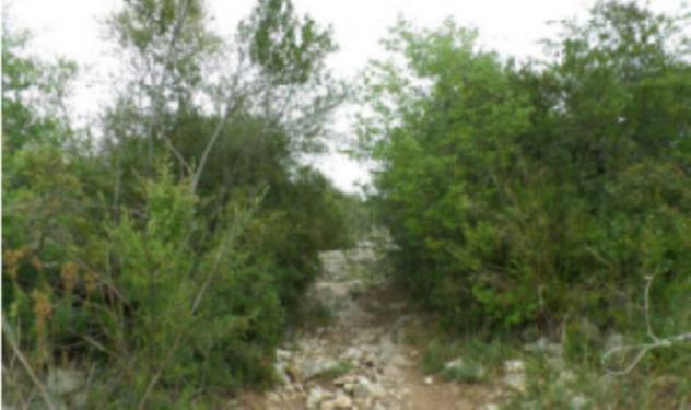 terreno agricolo in vendita a Noto