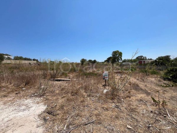 terreno agricolo in vendita a Noto in zona San Lorenzo