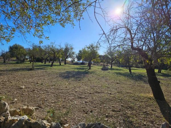 negozio in vendita a Noto