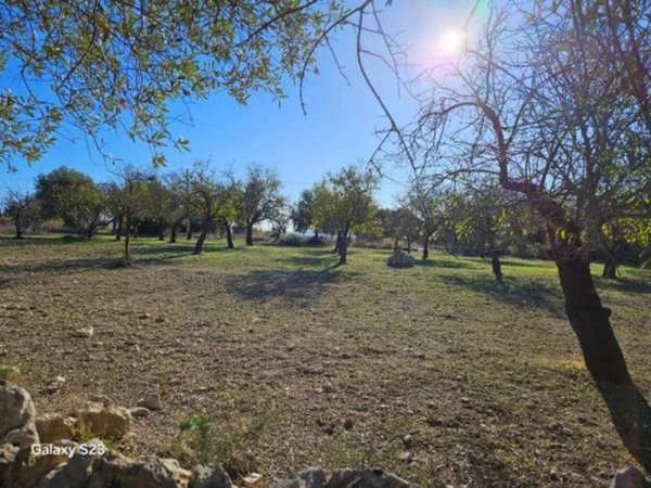 negozio in vendita a Noto