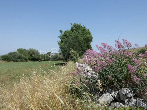 terreno agricolo in vendita a Noto in zona Testa dell'Acqua