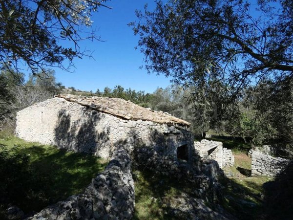 terreno agricolo in vendita a Noto