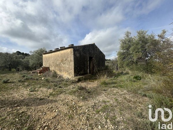 terreno agricolo in vendita a Noto