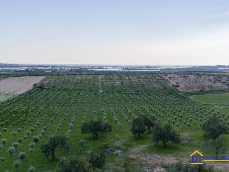terreno agricolo in vendita a Noto