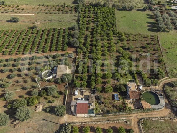 terreno agricolo in vendita a Noto in zona Lido di Noto