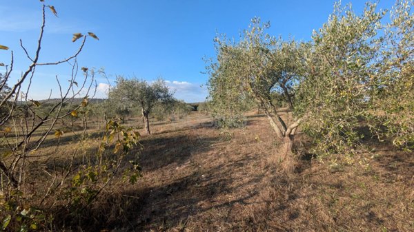 casa indipendente in vendita a Noto