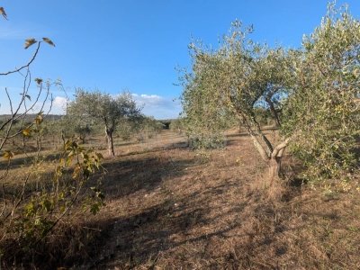 casa indipendente in vendita a Noto