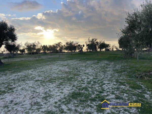 ufficio in vendita a Noto