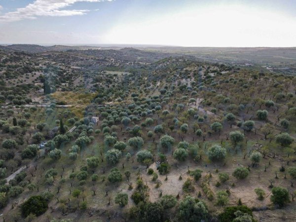 terreno agricolo in vendita a Noto