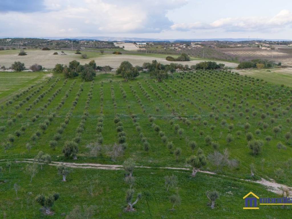 terreno agricolo in vendita a Noto