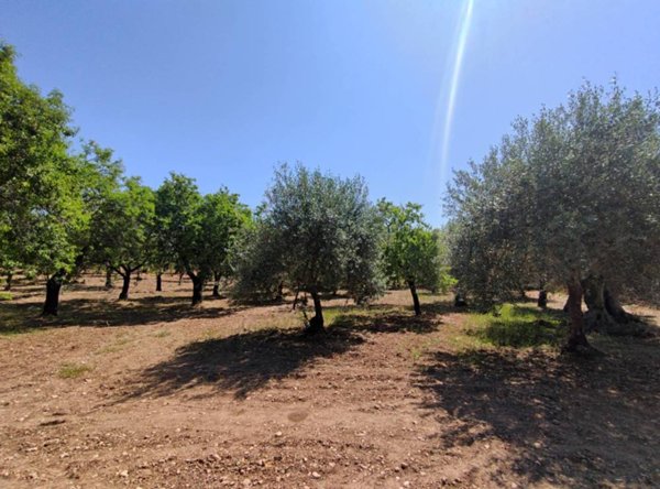 casa indipendente in vendita a Noto
