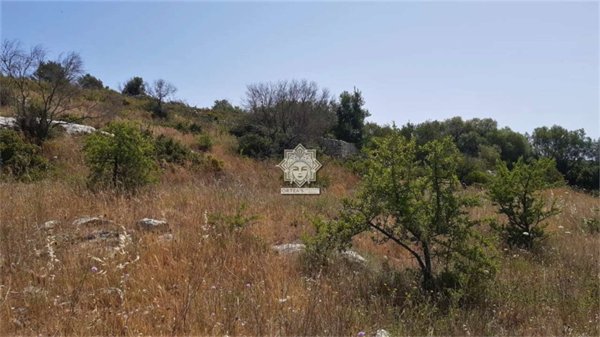 terreno agricolo in vendita a Noto