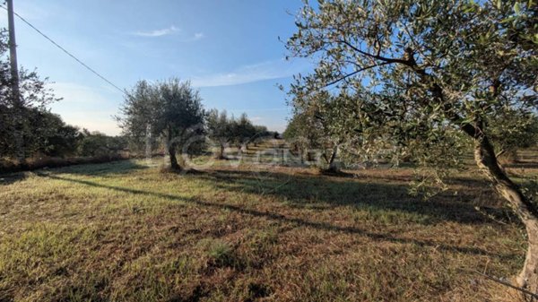 casa indipendente in vendita a Noto