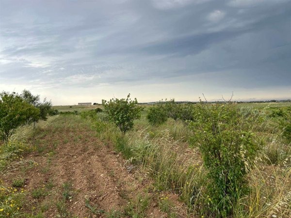 terreno agricolo in vendita a Noto