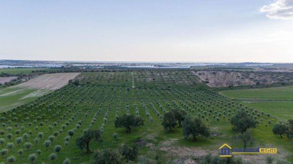 terreno agricolo in vendita a Noto
