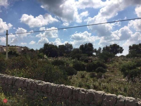 terreno agricolo in vendita a Noto